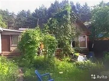 Снт восход тверская область