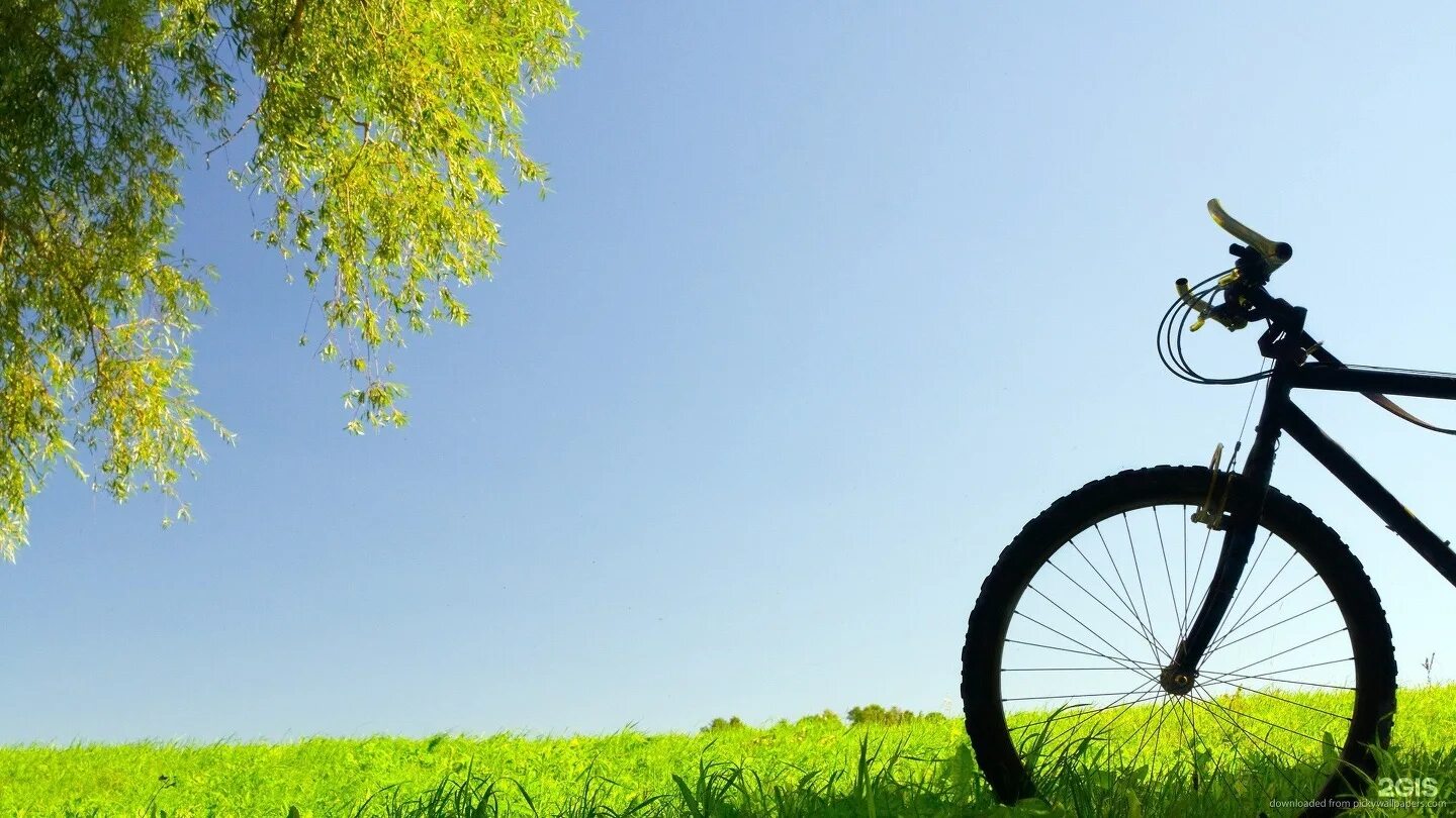 Велосипед на природе. Велосипед на фоне природы. Красивые велосипеды. Лето велосипед. Для телефона велик