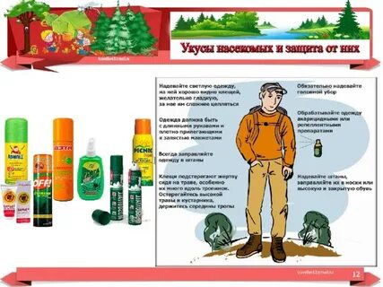 Профилактика укуса