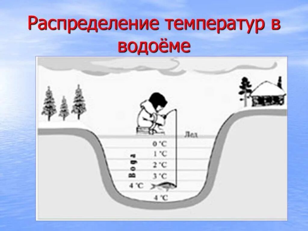 Температура воды в пруду. Температура в водоемах. Температура воды подо льдом. Температура воды зимой подо льдом. Температура Зпмерзания олуема.