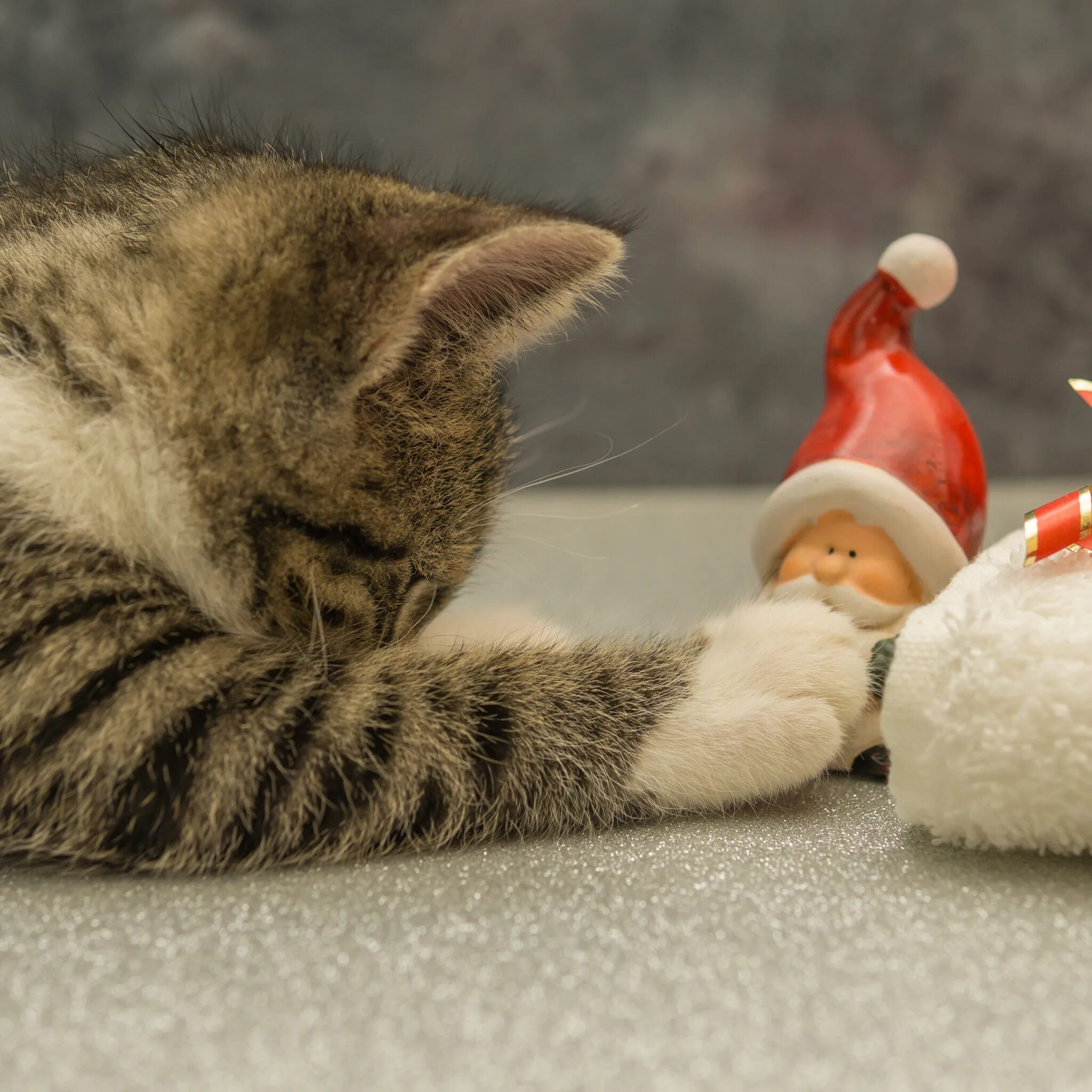 Кот играет с игрушкой. Новогодний кот. кот и елка. котёнок и ёлка.