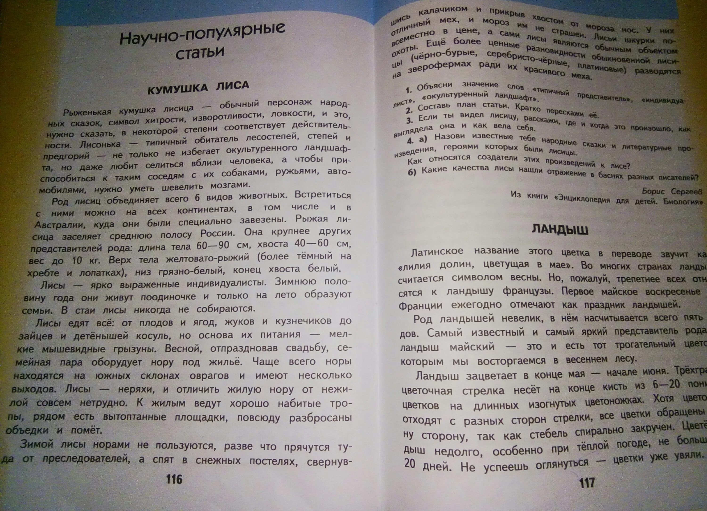 Научно популярная статья кумушка лиса. План статьи кумушка лиса. план статьи кукушка лиса.