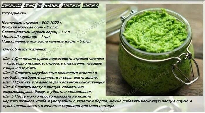 Чеснок засолить быстро и вкусно. Рецепты из чесночных стрелок. Рецепт из стрелок чеснока на зиму. Чесночные стрелки на зиму рецепты. Рецепт чесночных стрелок на зиму.