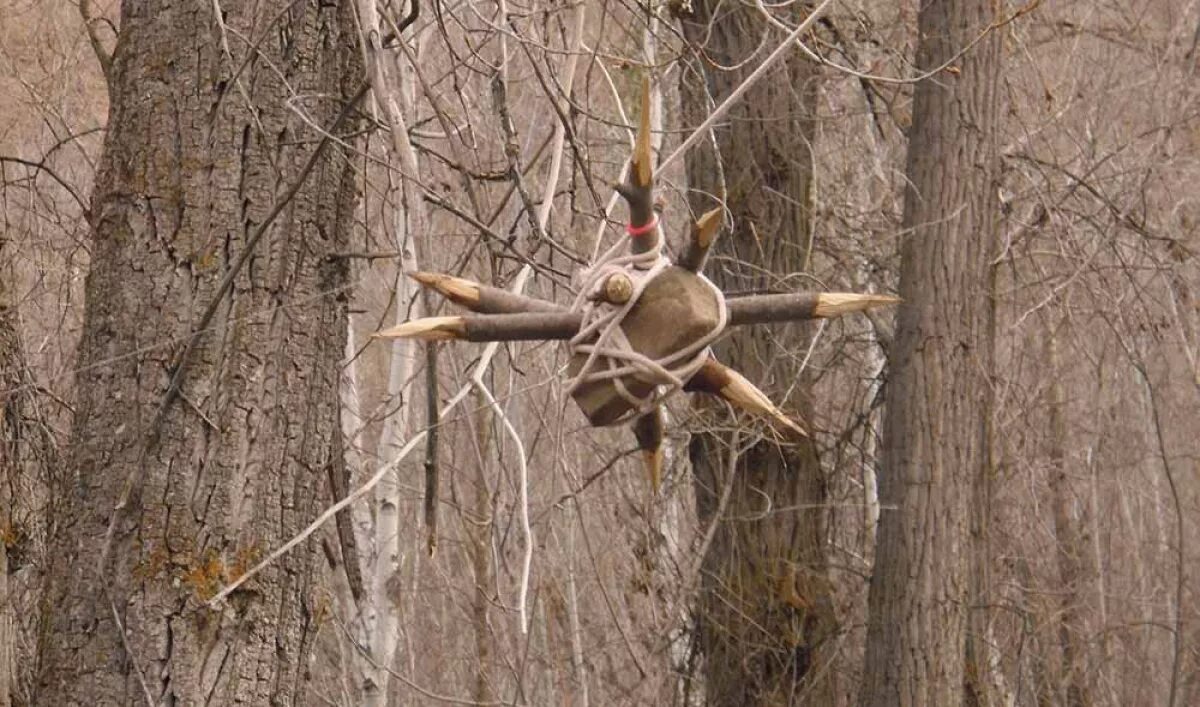 Booby trapping. ЛОВУШКА на дереве. Лесные ловушки. Лесные ловушки для человека. Ловушки в лесу на людей.