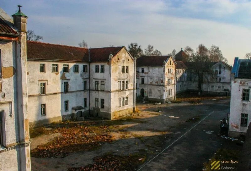 Больница Алленберг Калининград. Психиатрическая больница Алленберга. Алленберг психиатрическая больница в Калининградской области. Калининград Знаменск психиатрическая больница. Психиатрическая больница на невского калининград