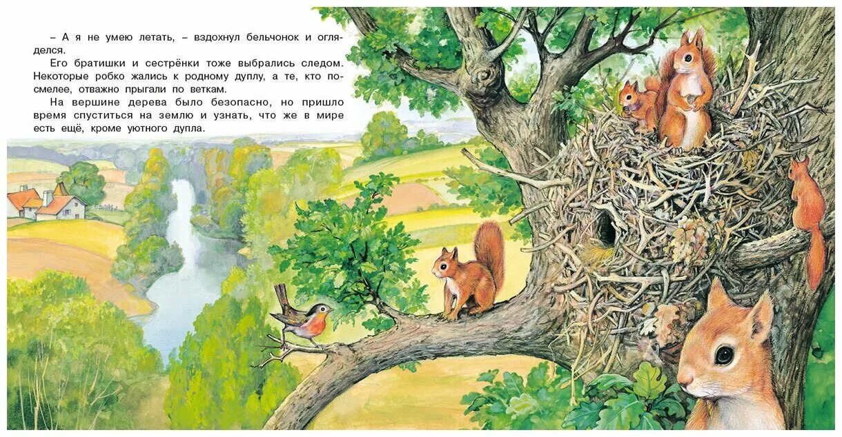 Малыш бельчонок хорош во всем манхва. Белка персонаж. Бельчонок наткин салфетка. Аниме рассвет йоны белочка. Магическая белка.