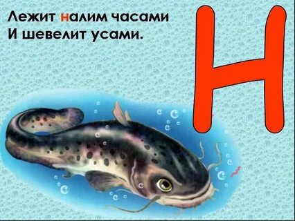 4 слова 1 буква рыбы