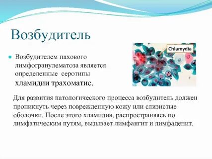 После возбудителя