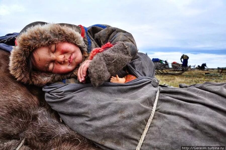 Серов пурга. Авария в яр сале на снегоходе. Ненцы традиции и обычаи. Стойбище оленеводов воркута. Спящие ненцы в пургу.