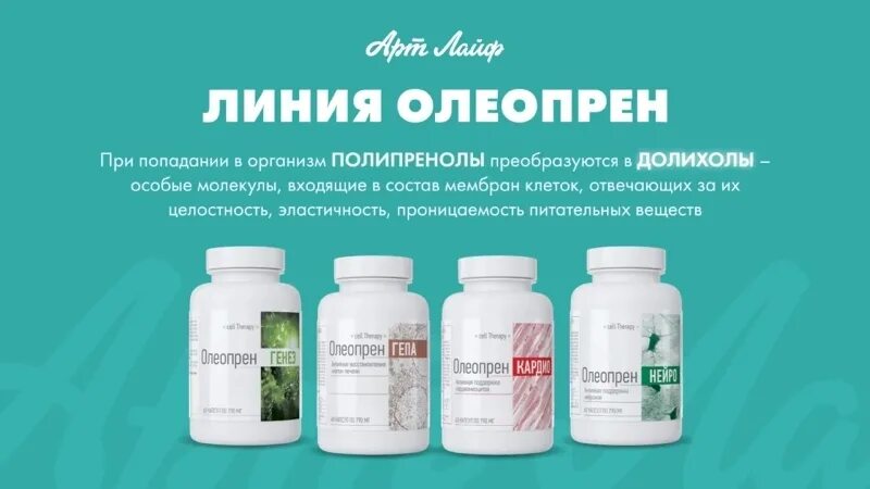 Полипренолы что это такое и для чего. Олеопрен гепа арт лайф. олеопрен генез арт лайф. полипренолы арт лайф. олеопрен нейро арт лайф.