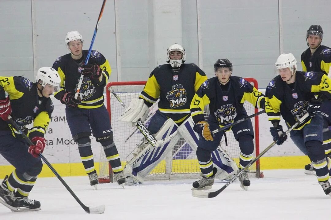 мади моторс черные медведи. когда стартует мсхл.