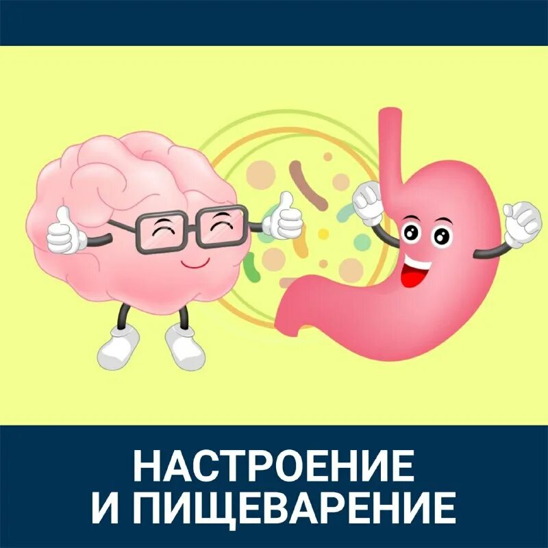 доктор берг холестерин