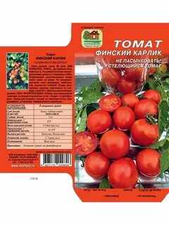 Томат монгольский карлик отзывы фото урожайность