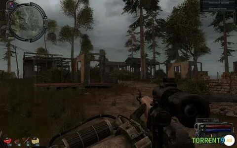 Сталкер вопреки