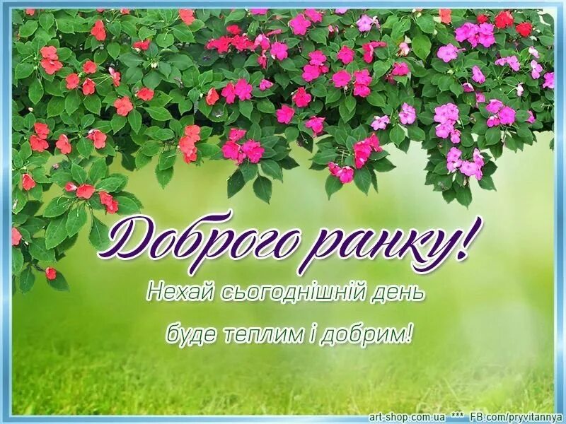 Добрый день на украинском языке картинки. Пожелания с добрым утром на украинском языке. Доброго ранку. Пожелания доброго утра на украинском языке. Добрый день на украинском языке картинки.