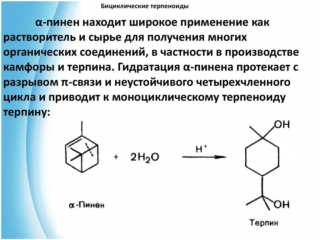 Структурные формулы терпеноидов. Бициклические терпены химические свойства. Бициклические терпены камфора. Общая формула терпеноидов.