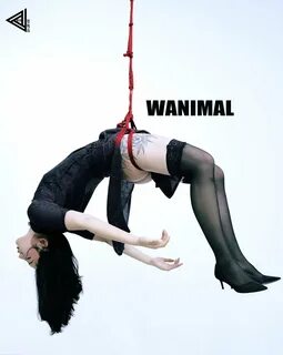 WANIMAL × 815 婆 绳 道 × RW BEN @WANIMAL912 @Shibari_China t.coquuMyn...