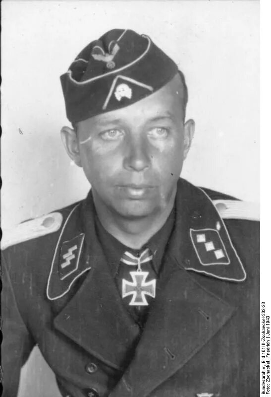 Дивизия райх. Дивизия сс дас райх. ss дас райх. дивизия райх сс. танковая дивизия сс райх.