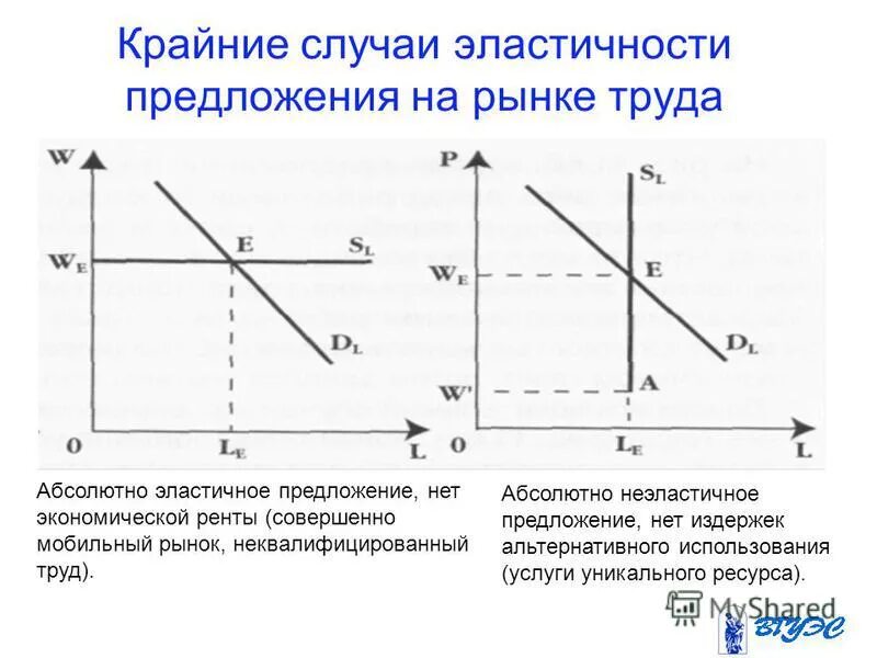 Абсолютно эластичный спрос. Совершенная неэластичность спроса. Не эластичноое предложение. Пример ресурса предложение которого абсолютно неэластично. Пример ресурса предложение которого абсолютно неэластично.