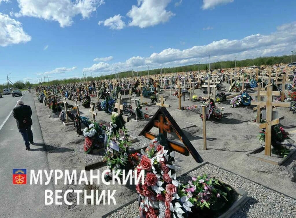 Союзническое кладбище в мурманске. Мурманский некрополь. Кладбище в мурманске. Старое кладбище мурманск. Кладбище мурмаши новое.