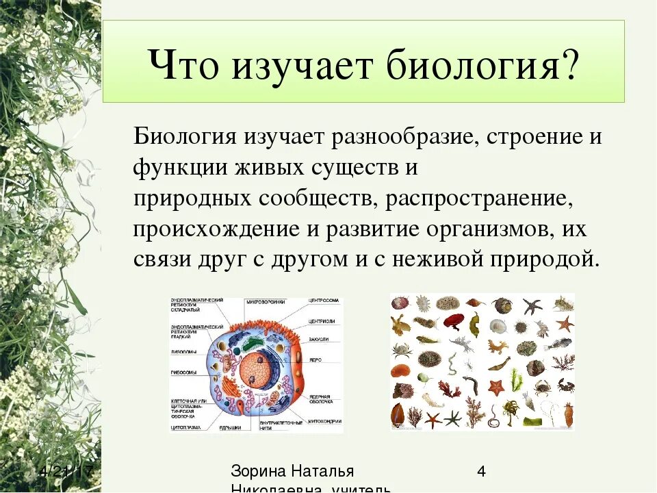 Информация про биологию. Что изучает биология. Биология темы. Что изучает биология 5 класс. Биология 5 класс что изучает биология.