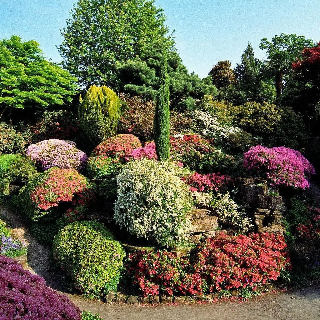 Фото и названия ландшафтных растений. Сады Леонардсли (Leonardslee Gardens). Сад Леонардсли в Англии. Сад леондарси в Англии. Леонардсли Гарден рододендрон.