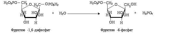 Фруктозо 1 6 дифосфат формула. Фруктозо 1 6 бисфосфат формула. Фруктозо-6-фосфат фруктозо-1.6-дифосфат. Фруктозо 6 фосфат формула.