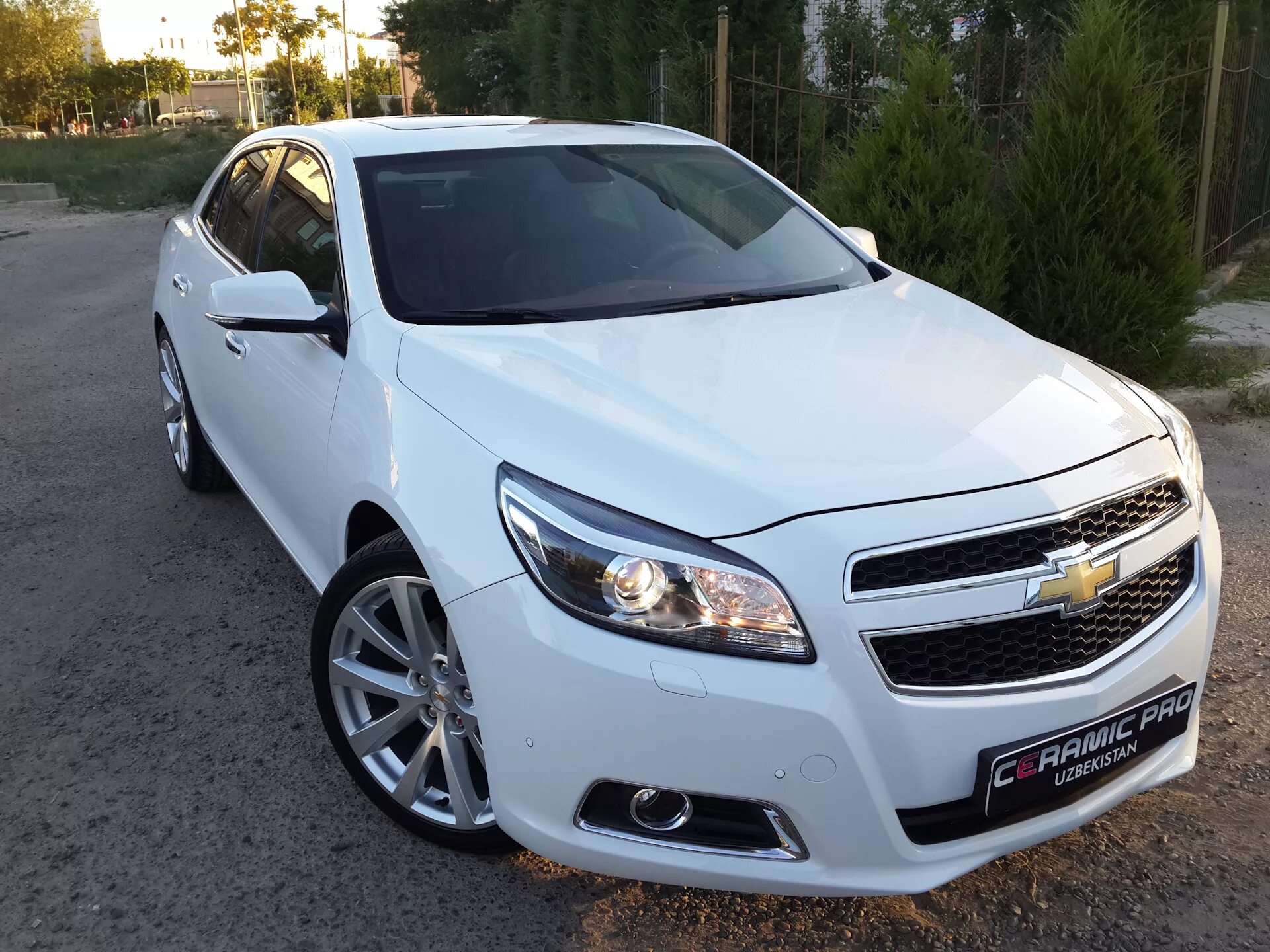 Шевроле Малибу 3. Chevrolet Malibu 1. Шевроле Малибу 2013 белый. Шевроле Малибу белая. Купить шевроле в узбекистане