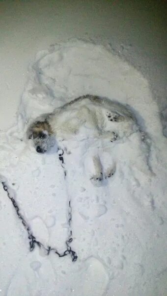 Как вернуть умершего