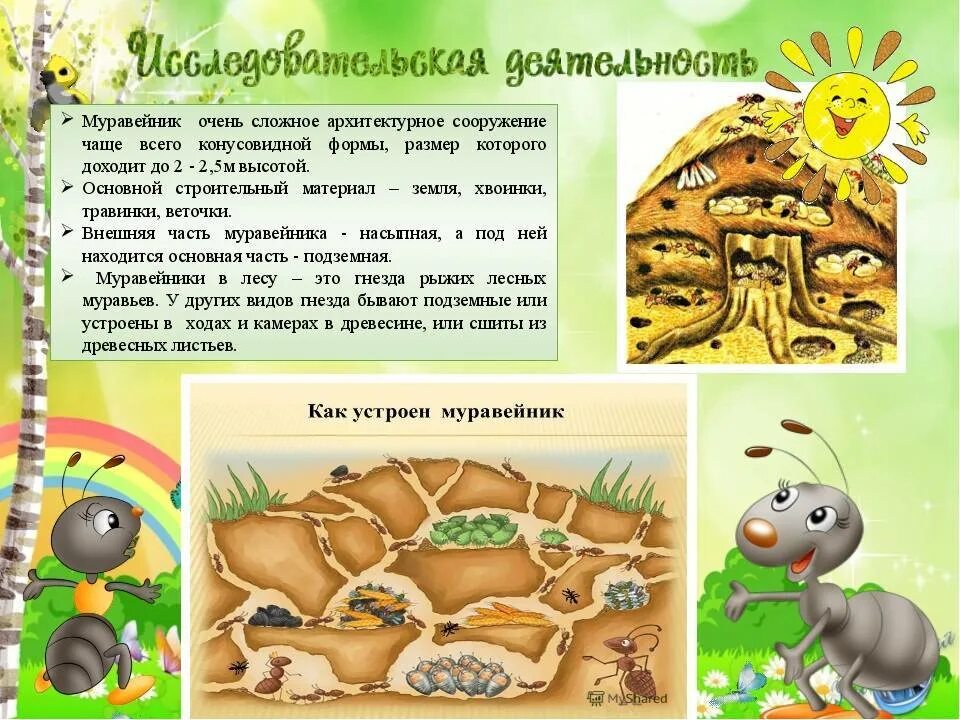 Муравейник 4. Муравейник доу детям. муравей для дошкольников. обитатели муравейника. муравьи в муравейнике.