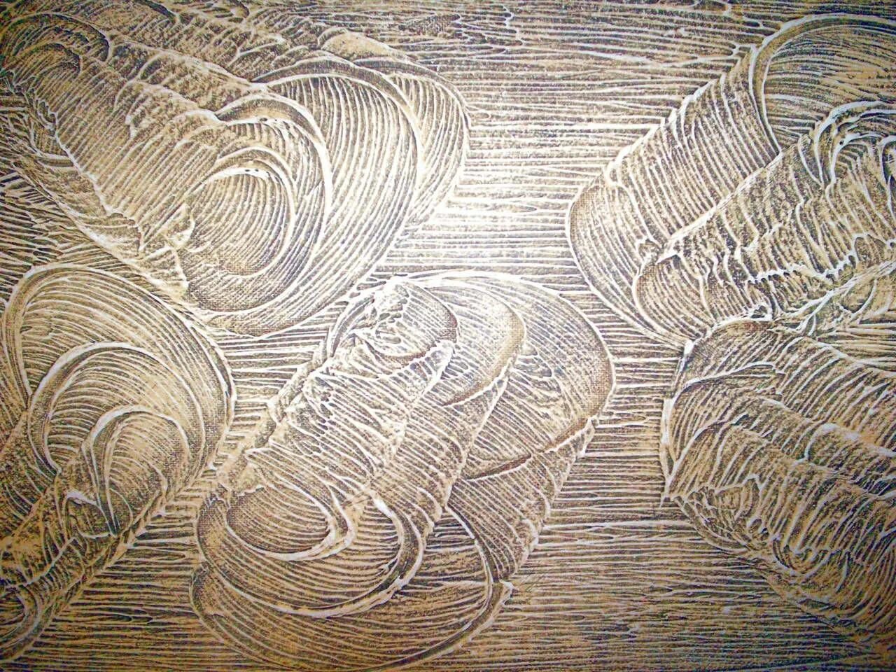 Рельефная штукатурка. Декоративная штукатурка sollievo decorazza. Креос драпе. Декоративная штукатурка леонардо. Венецианская штукатурка фасадная.