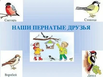 Пернатые друзья