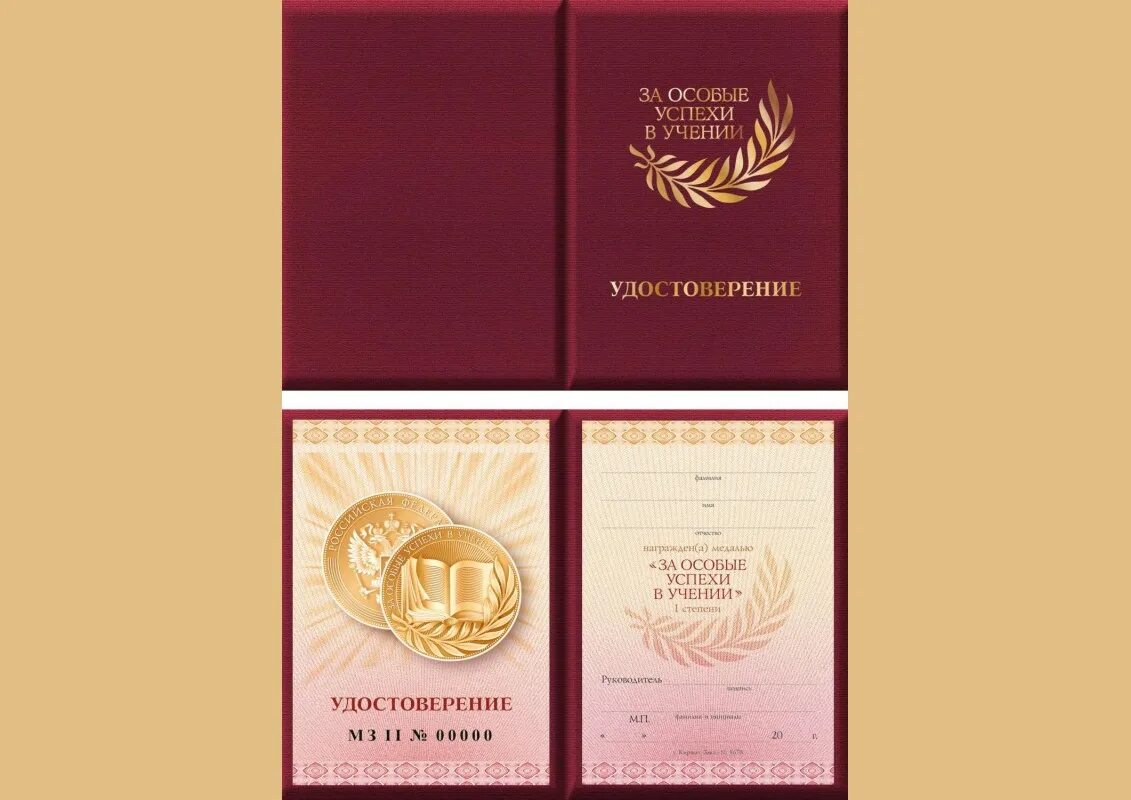 Медали 1 и 2 степени за особые успехи в учении картинки. За особые успехи в учении 1 степени. За особые успехи в учении 1 степени. И медали «за особые успехи в учении» ii степени. За особые успехи в учении 1 степени.