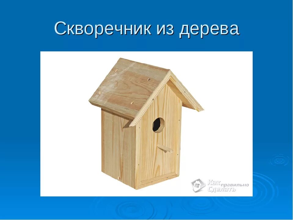 Скворечник ударение. Скворечник по технологии. Проект по технологии скворечник. Проекта скворечник из дерева. Проект по технологии для мальчиков скворечник.