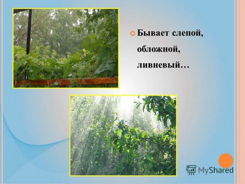 как прожить с мужем всю жизнь юмор. сердце в людях бывает слепое юшка. принцип око за око сделает весь мир слепым махатма ганди. тест на слепую зону глаза. сердце в людях бывает слепое.