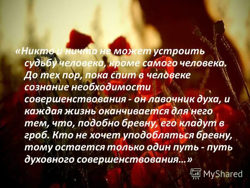 у каждого человека помимо. о смысле жизни. смысл жизни человека. афоризмы про глупость. красивые цитаты про жизнь.