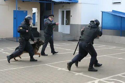 Работа сторожа бобруйск