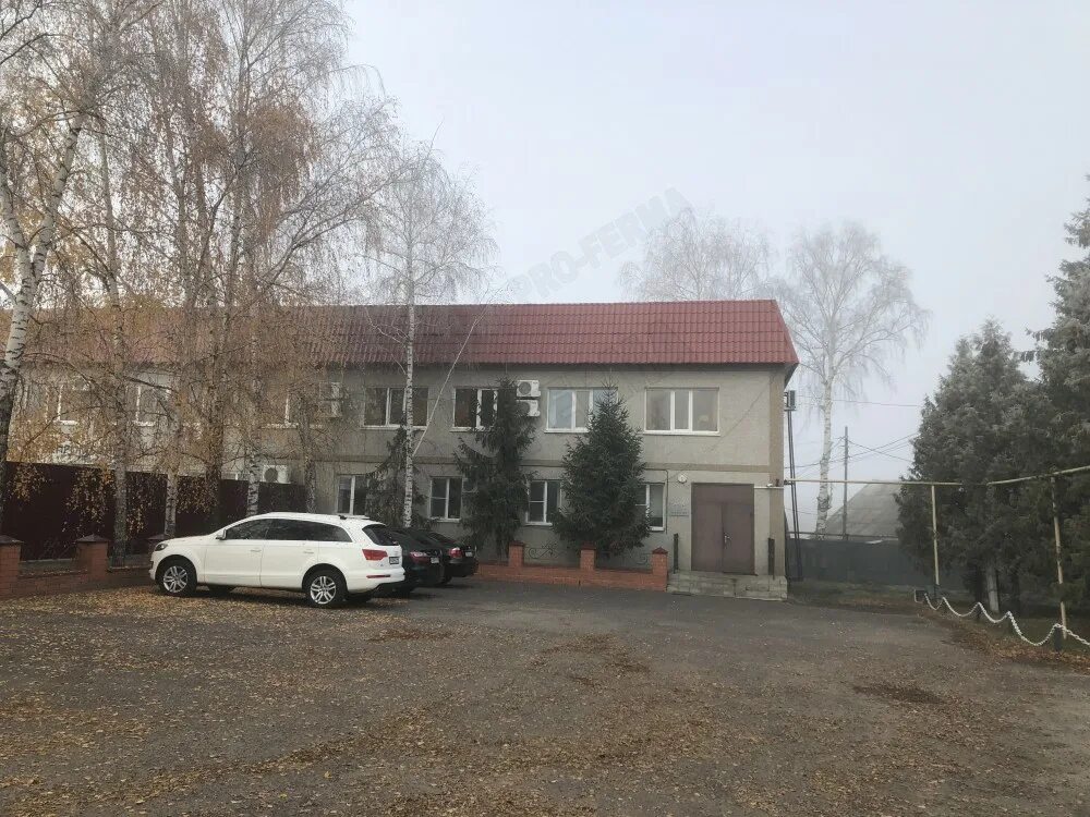 Псельское ооо курская область. Псельский орел. Псельское ооо курская область. Магазины псельский в курске. Псельское ооо курская область.