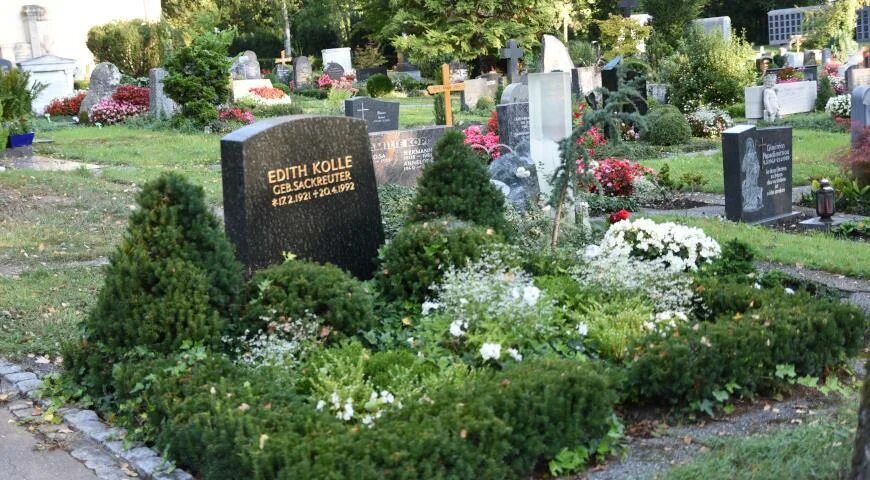 Растения для кладбища. Озеленение могил. Озеленение могилки. Цветы на кладбище многолетние. Какие цветы лучше посадить на могиле