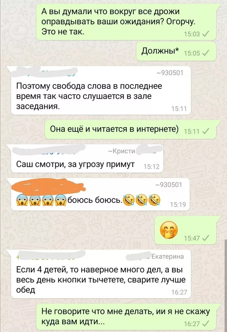 Сообщение в родительский чат. Родительский чат. родительский чат приколы. переписки аватарка. переписки в родительских чатах.