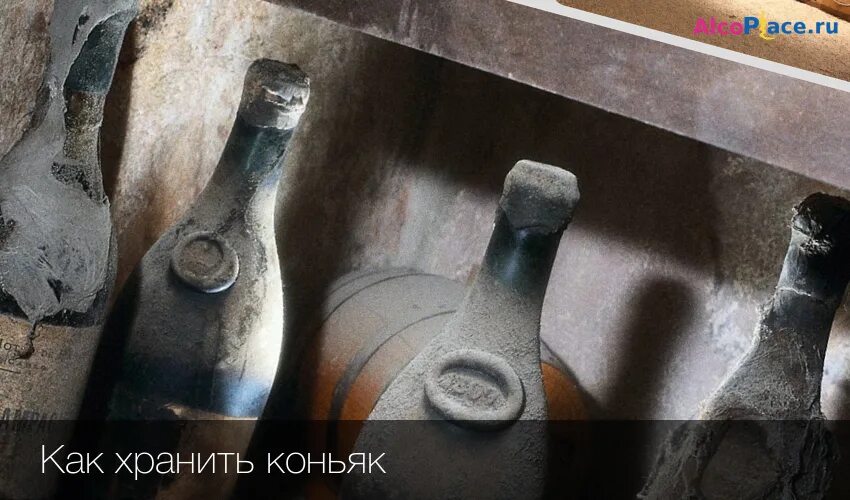 Сколько хранить коньяк. Хранение коньяка. Условия хранения открытой бутылки коньяка. Срок годности коньяка. Коньяк в бутылках хранят.