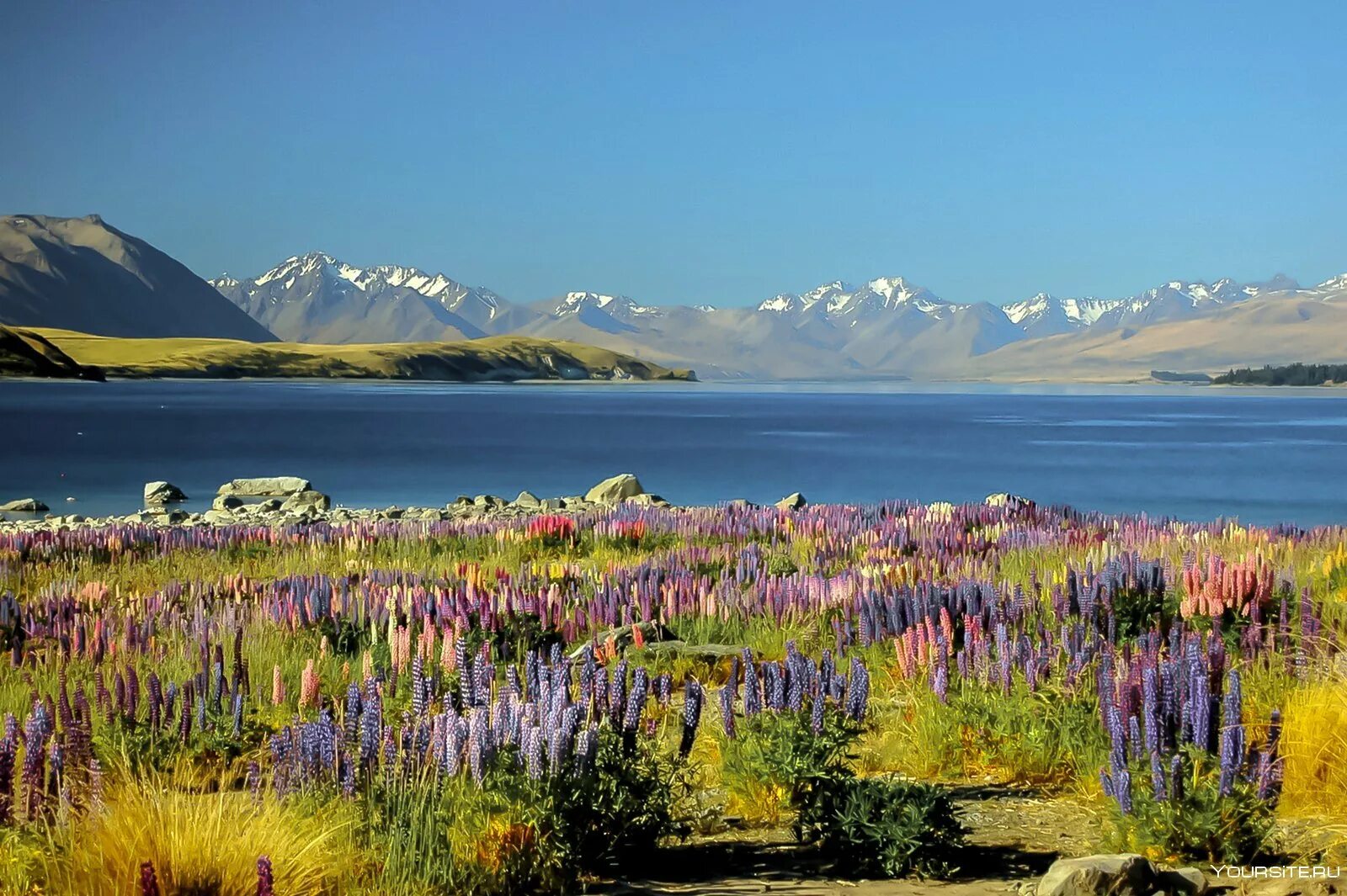 Новая зеландия 7 класс. Озеро Текапо. Lake Tekapo, новая Зеландия. Долина люпинов остров Южный новая Зеландия. Озеро Текапо в новой Зеландии фото.