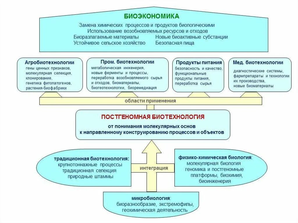 Основные развития биотехнологии. Основы биотехнологии. Процессы биотехнологии. Общая схема процессов в биотехнологии. Сферы применения биотехнологий.