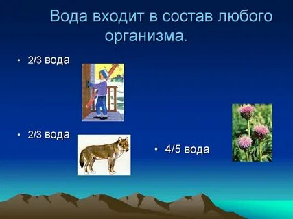 Вода входит в состав всех живых существ