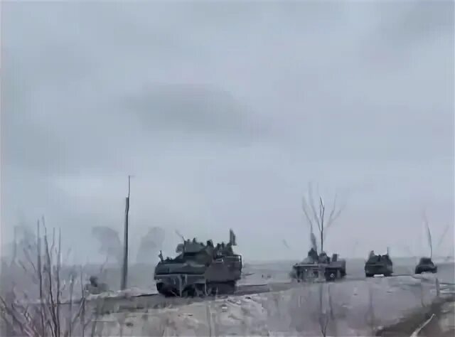 Едут едут бтры зверобой где послушать
