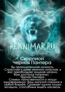 Тест твой патронус