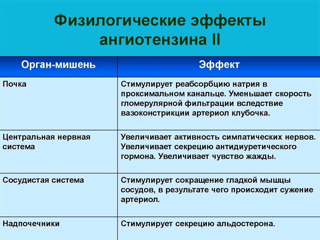 Эффекты ангиотензина II. Анг эффекты. Ангиотензин функции. Ангиотензин 2 функции.