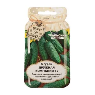 Огурцы дачника