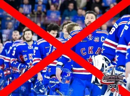 Литвин ударил фаната ска