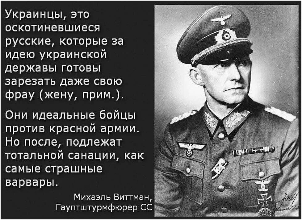 Когда союзник атакует врага с порчей. Михаэль Виттман об украинцах. Михаэль Виттманн про украинцев. Немец о украинцах Михаэль Виттман. Высказывания о бандеровцах.